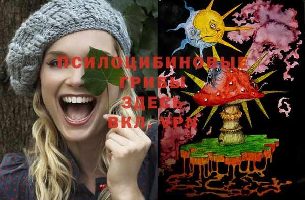 дурь Белоозёрский