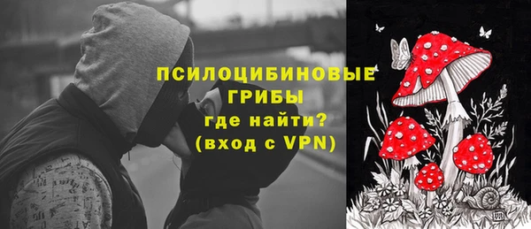 спиды Бородино