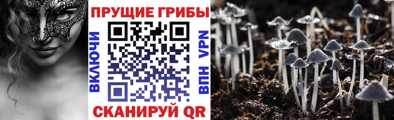 Псилоцибиновые грибы Magic Shrooms  гидра   Дигора 